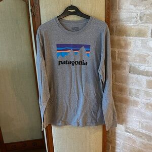 Patagonia Gray Long Sleeve cotton tshirt in size Large with Mountain Graphic